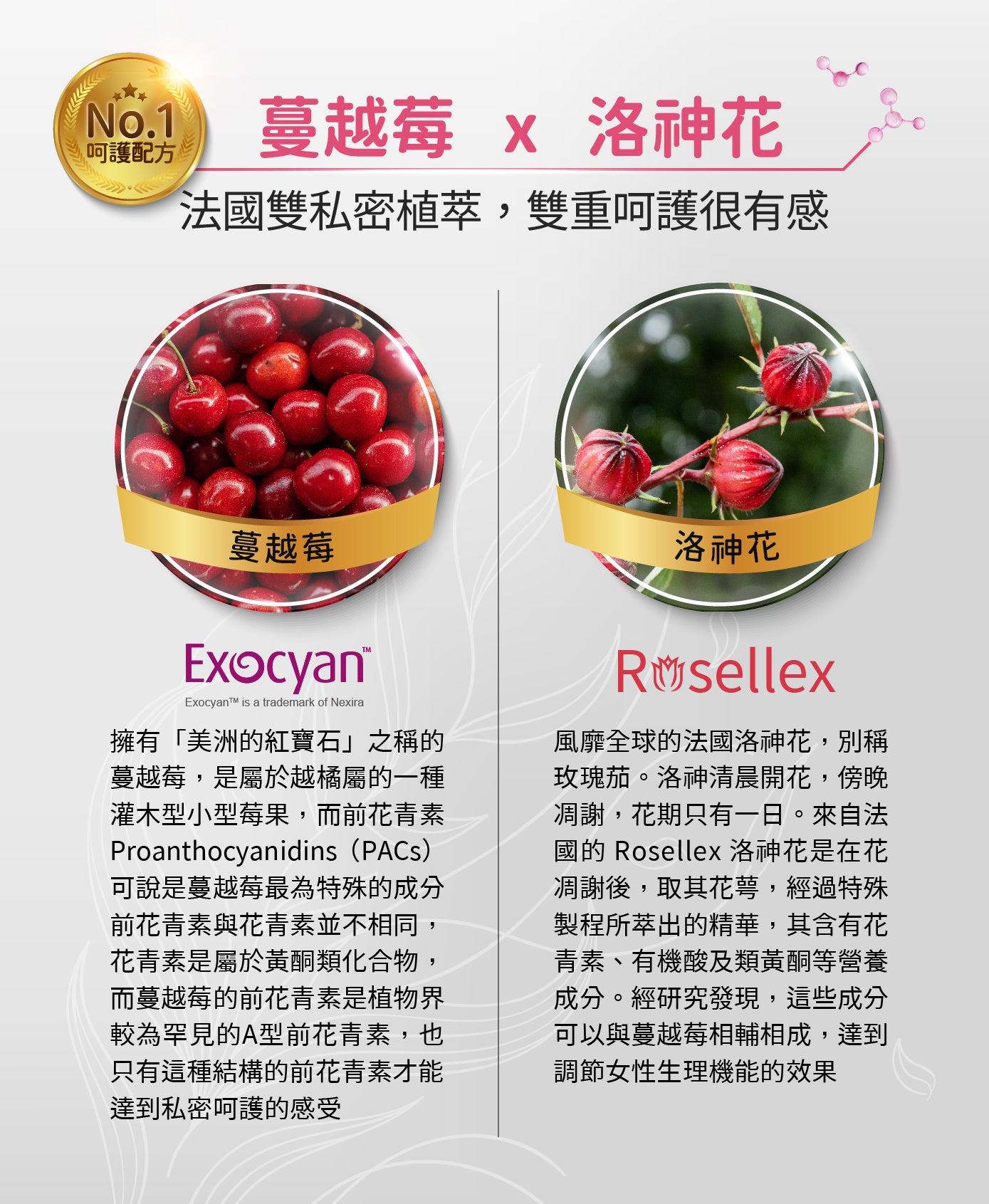 【益生菌第四代◆全素】淨好莓(30包/盒)日本愛宕柿萃取