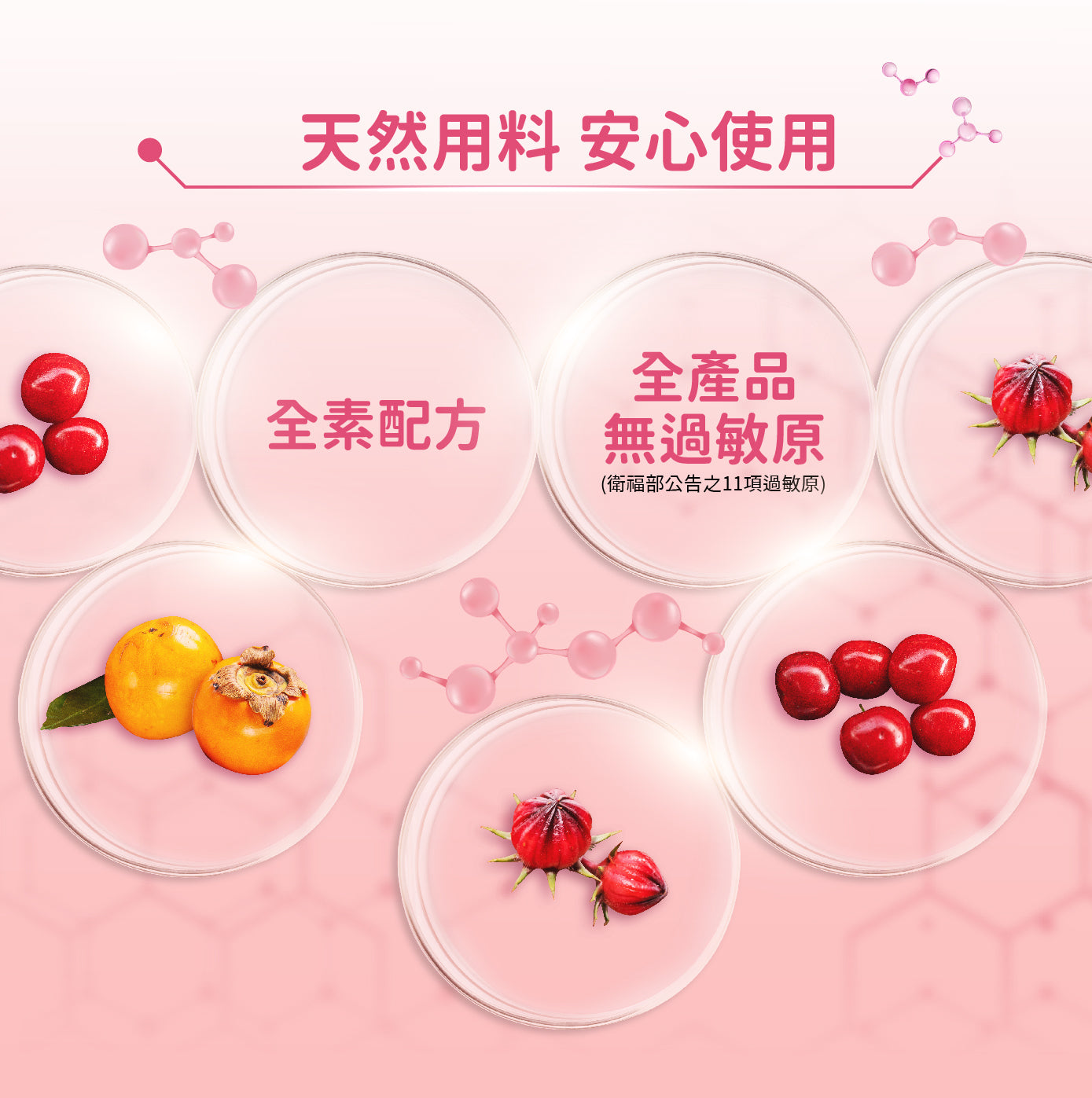 【益生菌第四代◆全素】淨好莓(30包/盒)日本愛宕柿萃取