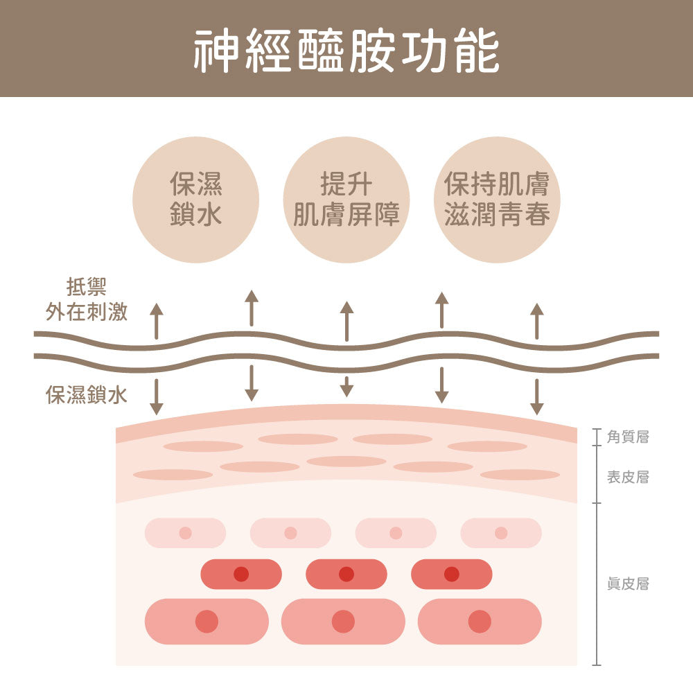 【初淨肌SAB】水透光無痕精萃(油水平衡/舒緩保濕/形成肌膚保護膜/無酸煥膚)🎁加碼送好禮