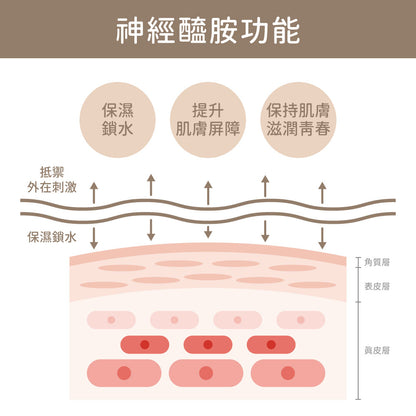 【初淨肌SAB】水透光無痕精萃(油水平衡/舒緩保濕/形成肌膚保護膜/無酸煥膚)🎁加碼送好禮