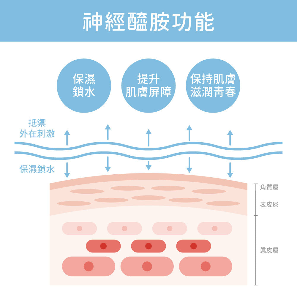 【美肌煥新】煥膚亮白保濕組-七重賦活保濕精露+水透光無痕精萃🎁加碼送海藻Q膜1盒