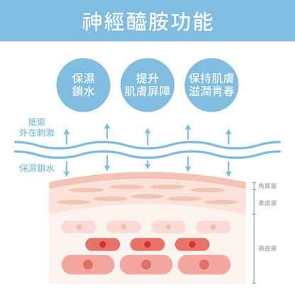 【美肌煥新】煥膚亮白保濕組-七重賦活保濕精露+水透光無痕精萃🎁加碼送海藻Q膜1盒