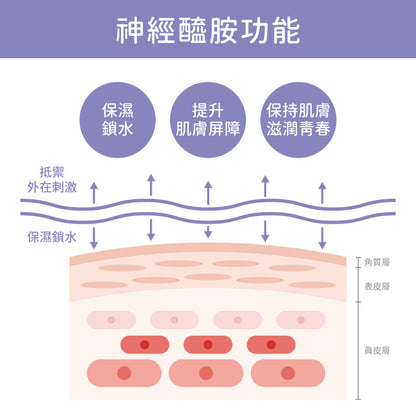 【年終顧美肌】雙重激潤全能組-七重賦活保濕潔顏慕斯+保濕霜+保濕精萃